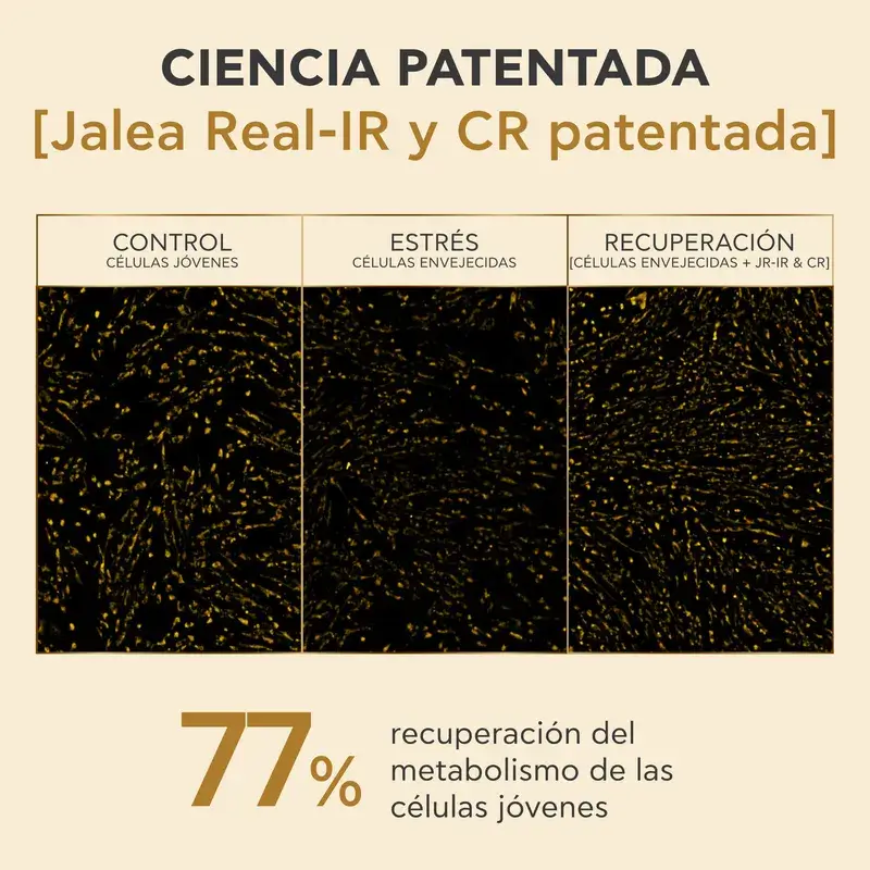 Imagen del producto 7