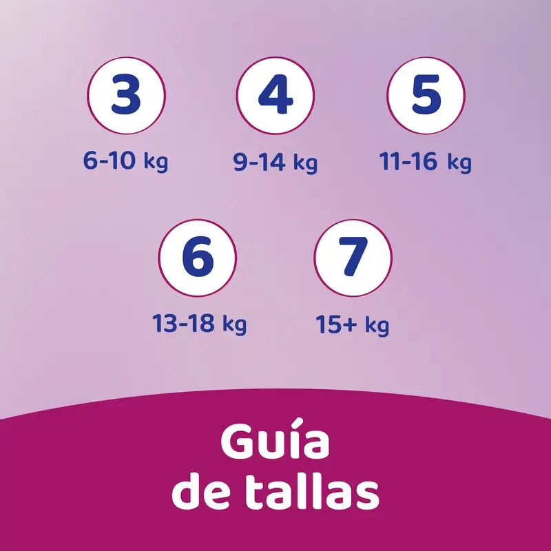 Imagen del producto 13