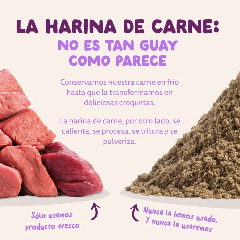 Imagen del producto 11