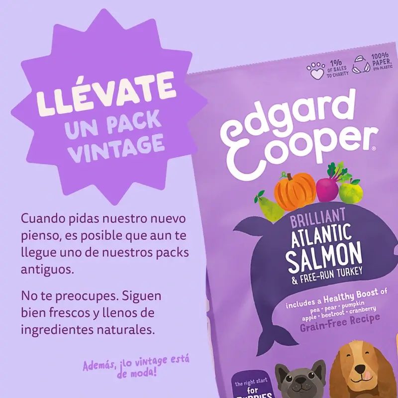 Imagen del producto 12