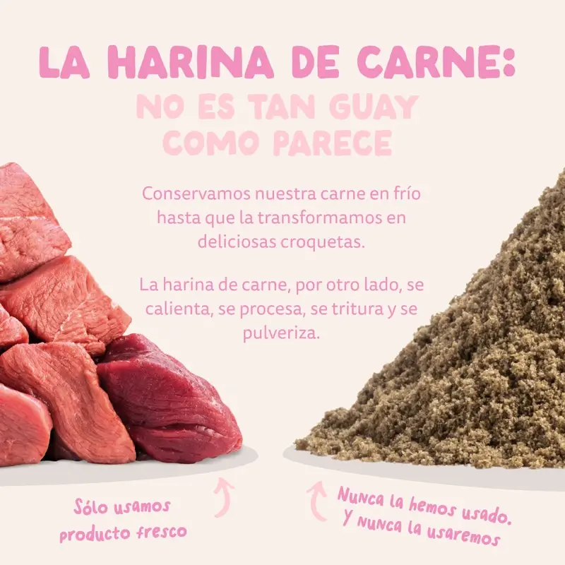 Imagen del producto 11