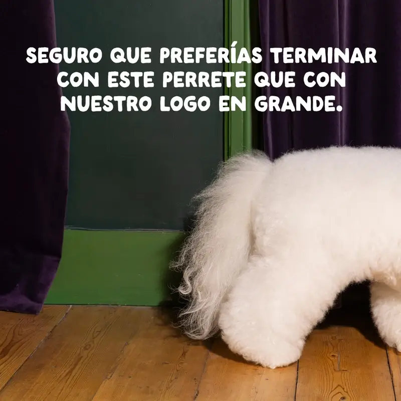 Imagen del producto 13