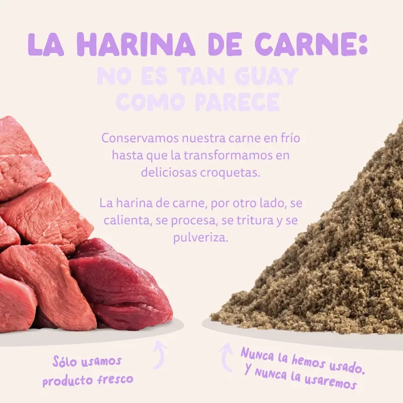 Imagen del producto 10