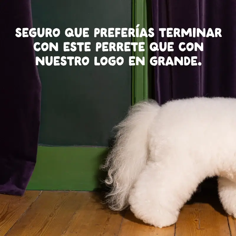 Imagen del producto 13