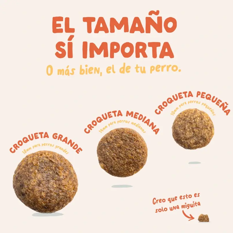 Imagen del producto 7