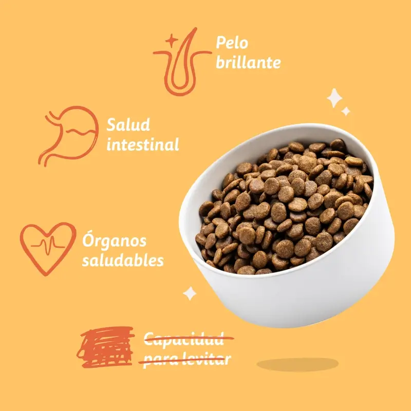 Imagen del producto 8