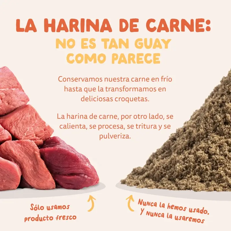 Imagen del producto 11