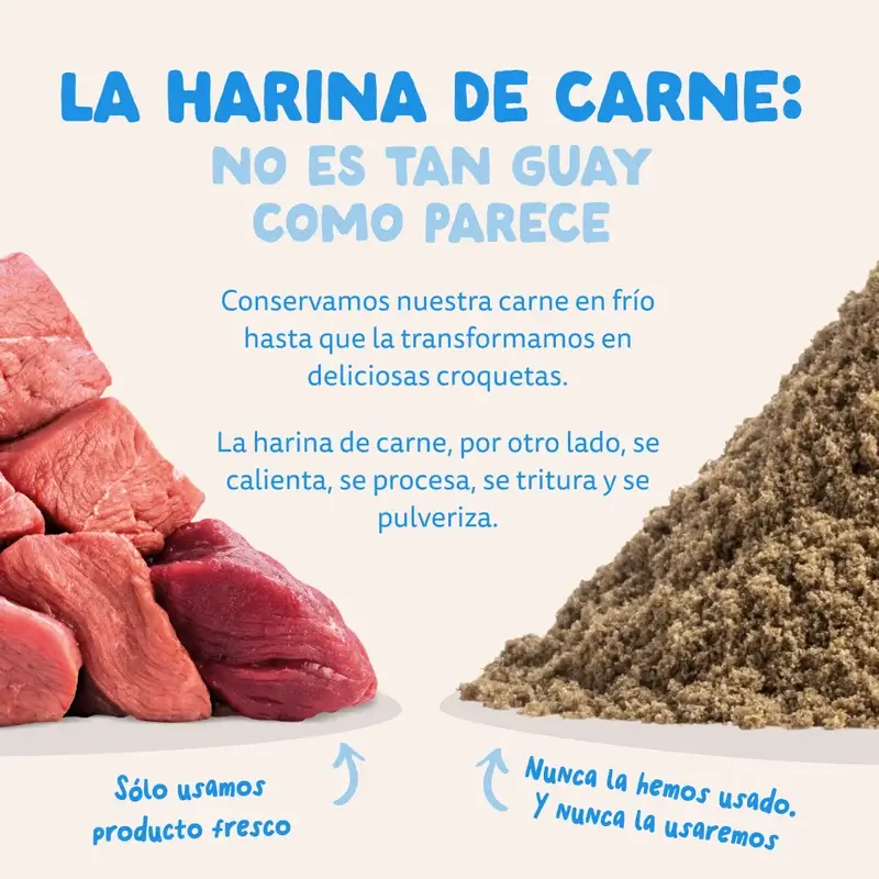Imagen del producto 11