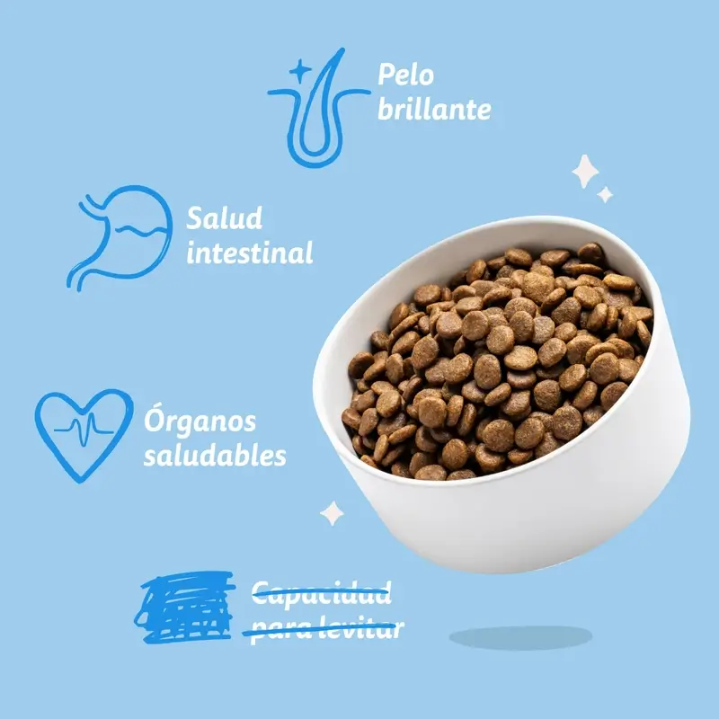 Imagen del producto 8