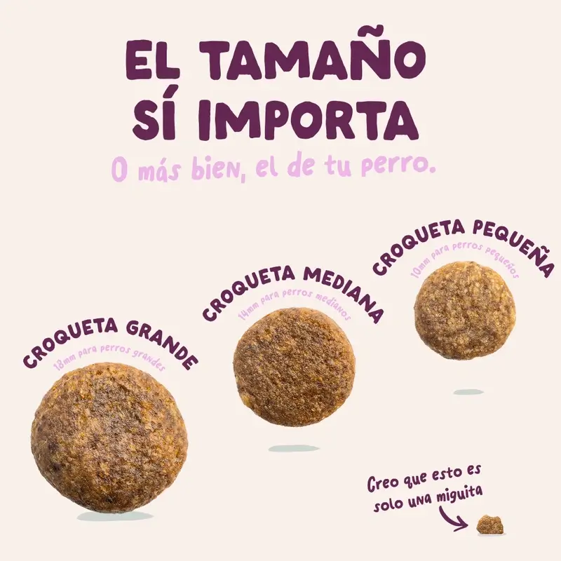 Imagen del producto 7