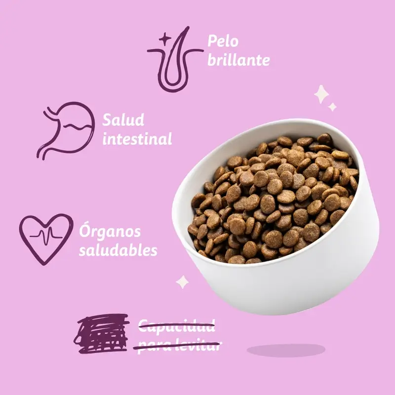 Imagen del producto 8