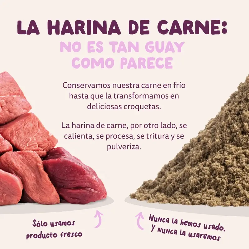 Imagen del producto 11