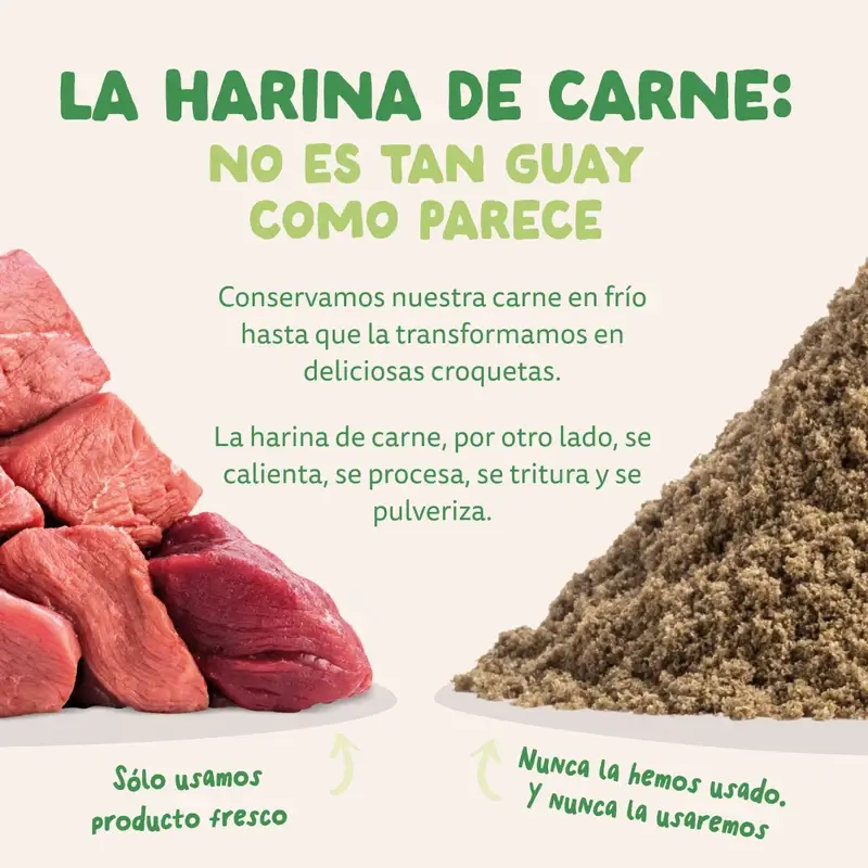 Imagen del producto 10