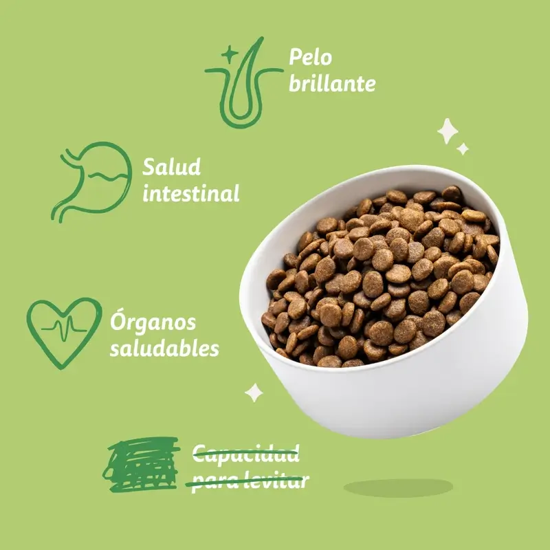 Imagen del producto 7