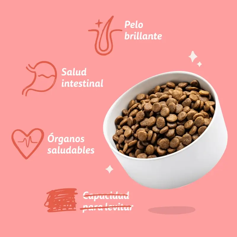 Imagen del producto 8