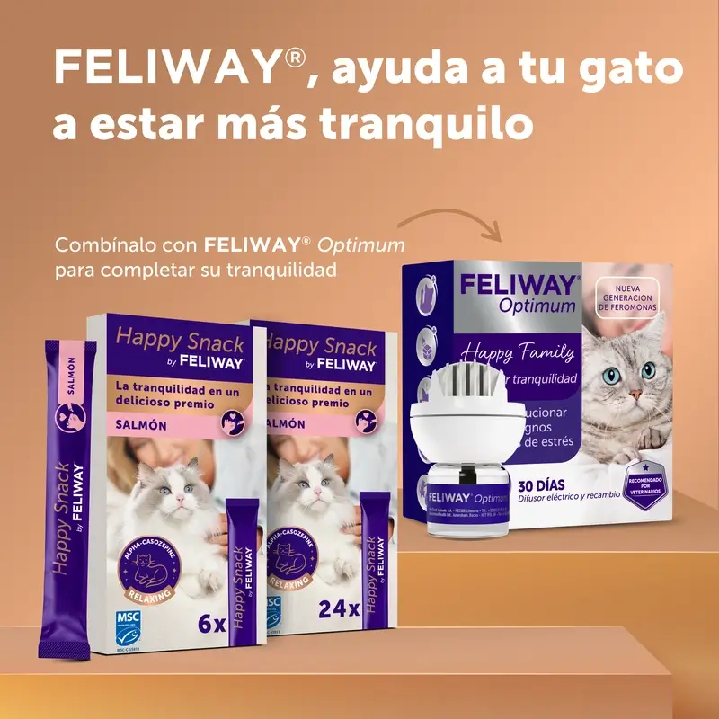 Imagen del producto 9