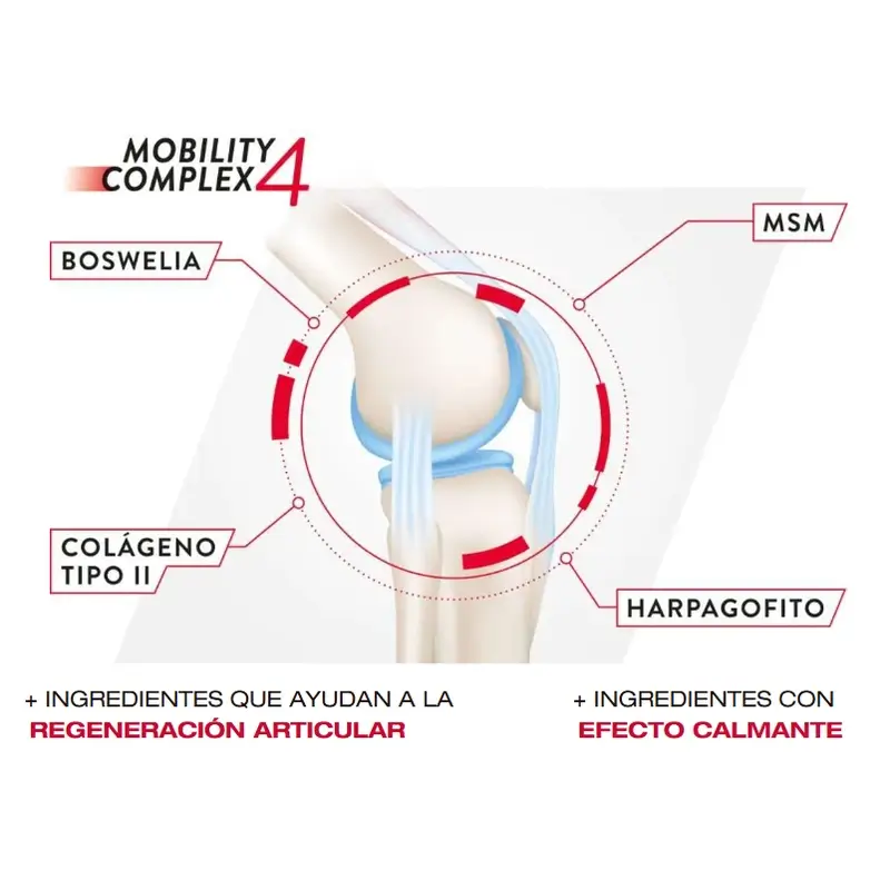 Imagen del producto 2