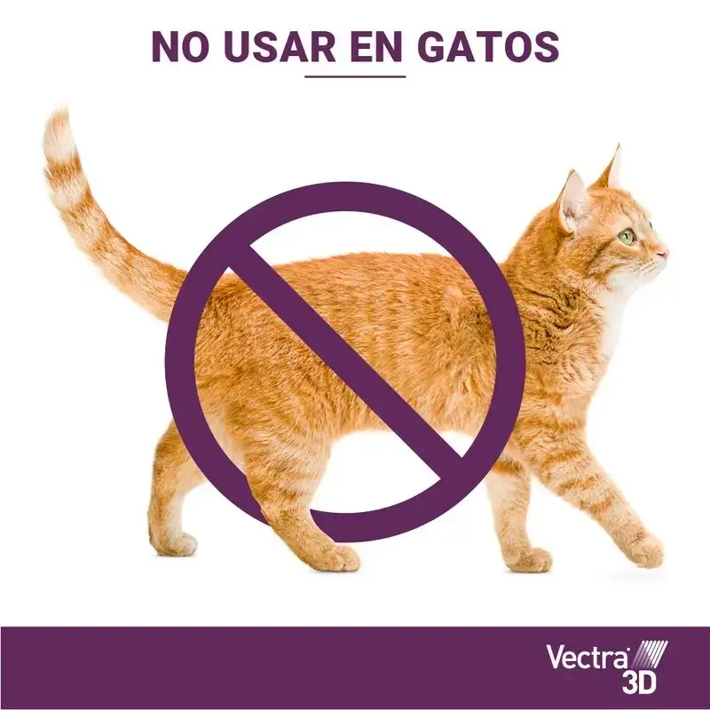 Imagen del producto 11