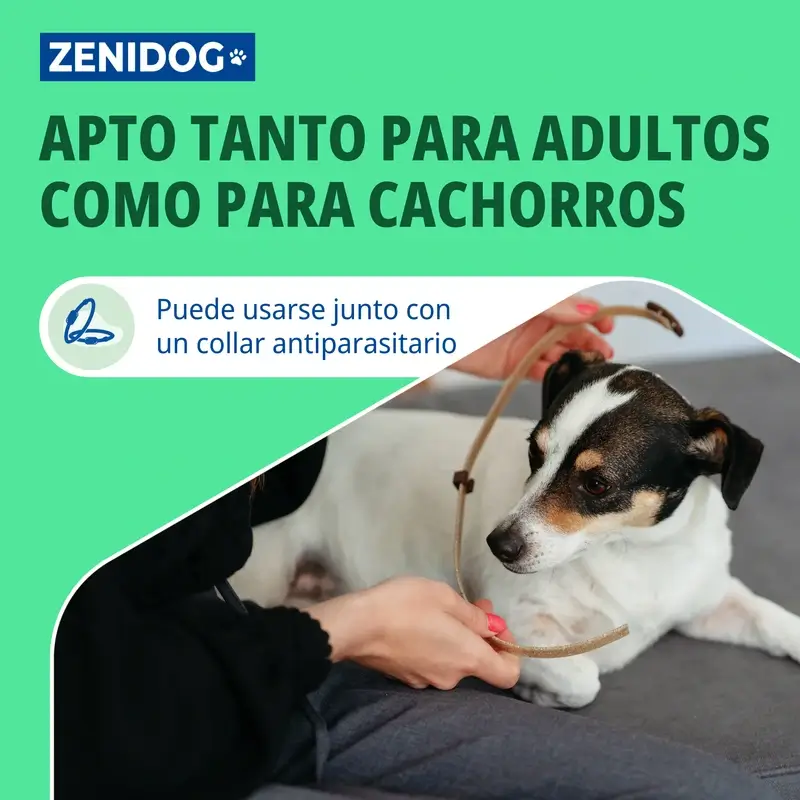 Imagen del producto 5